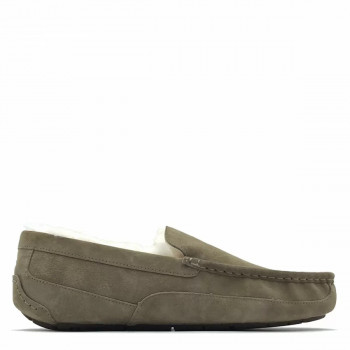 UGG Mens Ascot Olive